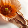 Soin Repigmentant - Chatain Glac&eacute; Nourishing, Conditionner Beautifies And Enhances Color