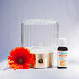 Diffuse Air Pur Puressentiel