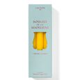 Bougies de la Madeleine Trudon