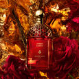 Absolus Allegoria Ambre Samar Guerlain