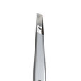 Lash Brow Staleks