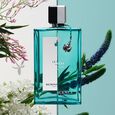 Le Rem Limited Edition 1970 Reminiscence