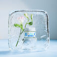 Baume Froid Intense Migra Pure Puressentiel