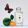 Lime Basil & Mandarin Cologne 30 ml