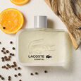 Essential Lacoste