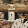 Silver Birch & Lavender Jo Malone London