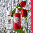 Gingembre Rouge Sada s vonavou vodou s blahod&aacute;rn&yacute;mi &uacute;cinky 100 ml + telov&eacute; ml&eacute;ko s blahod&aacute;rn&yacute;mi &uacute;cinky 250 ml
