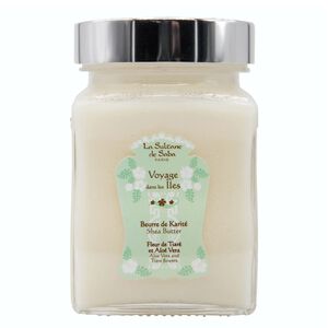 Voyages Dans Les &Icirc;les