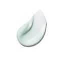 Pdrn 100 Hyaluronic Acid 100 Moisture Cream Anua