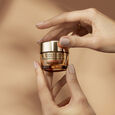 More of What You Love Est&eacute;e Lauder