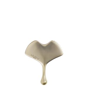 Ginkgo Gua Sha
