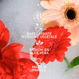 Gingembre Rouge Roger&Gallet