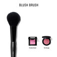 Blush Brush Pinceau Blush