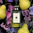 English Pear & Sweet Pea Woda kolonska 100 ml