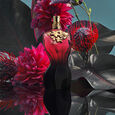 La Belle le Parfum Jean Paul Gaultier