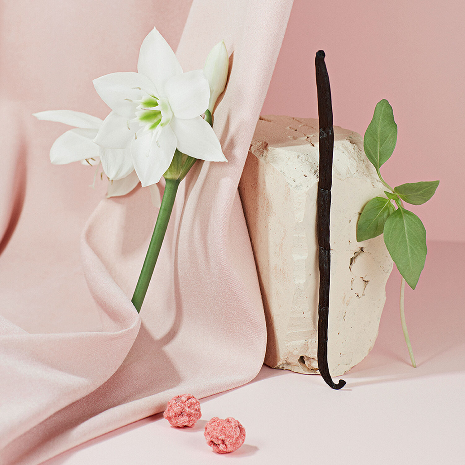 Cabochard Chérie, Eau de Parfum 100 ml Gres MyOrigines Produit