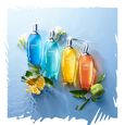 Eau d'Energie Wachr&uuml;ttelnder und energetisierender Nebel