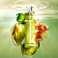 Starliciou Pistachio Praline Mugler
