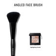 Angled Face Brush Pinceau Teint