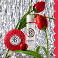 Gingembre Rouge D&aacute;rkov&aacute; sada s vonavou vodou 30 ml a blahod&aacute;rn&yacute;m m&yacute;dlem 100 g