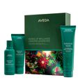 Botanical Repair&trade; Aveda