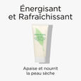 Green Tea Geschenkset mit Eau de Parfum 100 ml + erfrischender Lotion 100 ml