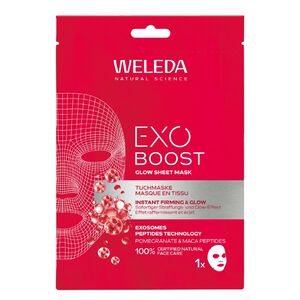 Exo Boost