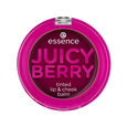 Juicy Berry Essence