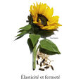 Extra-Firming Cou et D&eacute;collet&eacute; Clarins