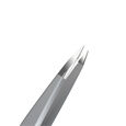 Lash Brow Staleks