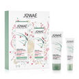 Ginseng Rouge Jowa&eacute;
