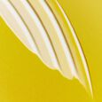 Zero-Cast Moisturizing Finish Sunscreen SPF 50+ Anua