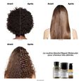 Absolut Repair Molecular l'or&eacute;al professionnel