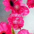 Rose Roger&Gallet