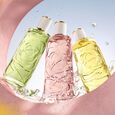 &Ocirc; Zenith lanc&ocirc;me