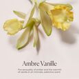 Ambre Vanille Laura Mercier