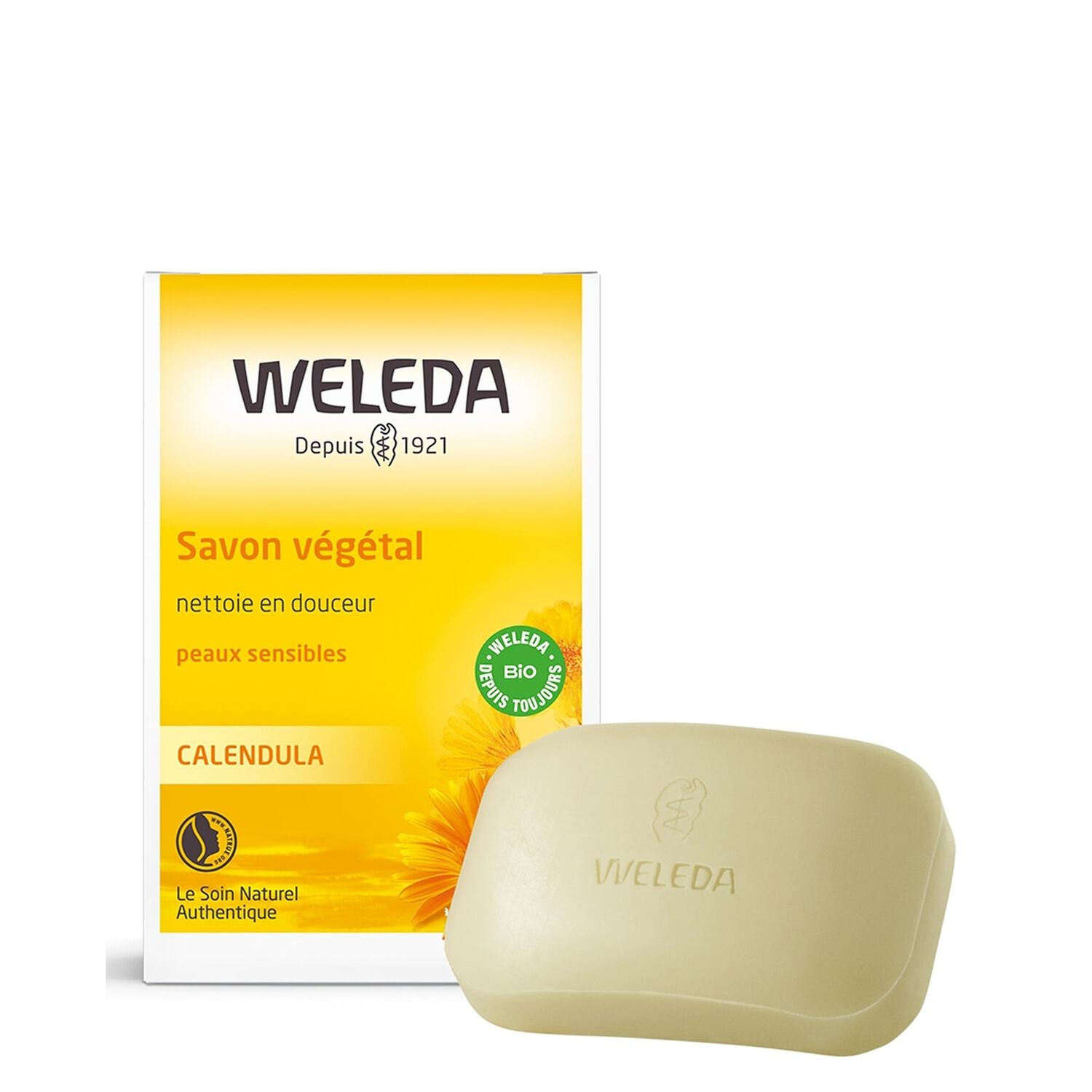 Calendula