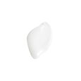 Matte Moisturizer Erborian