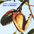 Almond Nut Korres