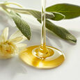 Bain TS Shampooing Leonor Greyl