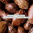 Huile de Ricin Melvita