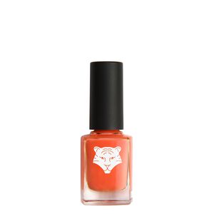 195 Orange Corail Seize The Moment