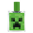 Minecraft kid's