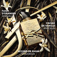 Libre Vanille Couture Yves St Laurent
