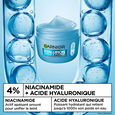 Skinactive Hyaluronic Garnier