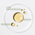 [Active-Lift] Das aufpolsternde &Ouml;l & Regenerierend 15 ml
