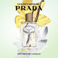 Infusion de Vanille Prada