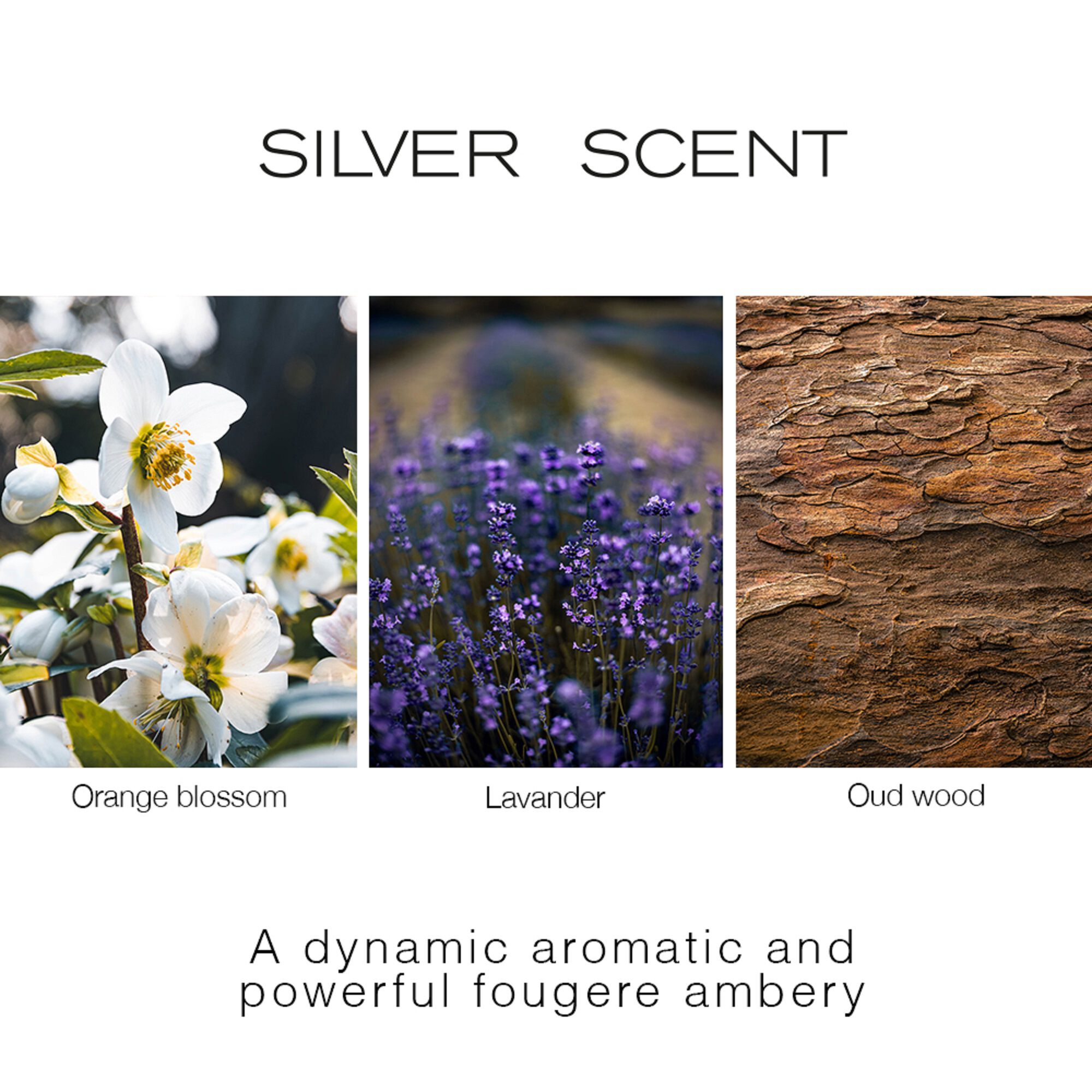 Silver Scent Body Bath & Body
