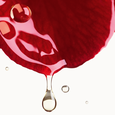 N&deg;1 DE CHANEL AU CAM&Eacute;LIA ROUGE Chanel