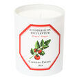 Tomate Carri&egrave;re Fr&egrave;res